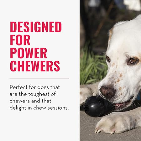 Kong Extreme Goodie Bone Dog Toy Black - Large