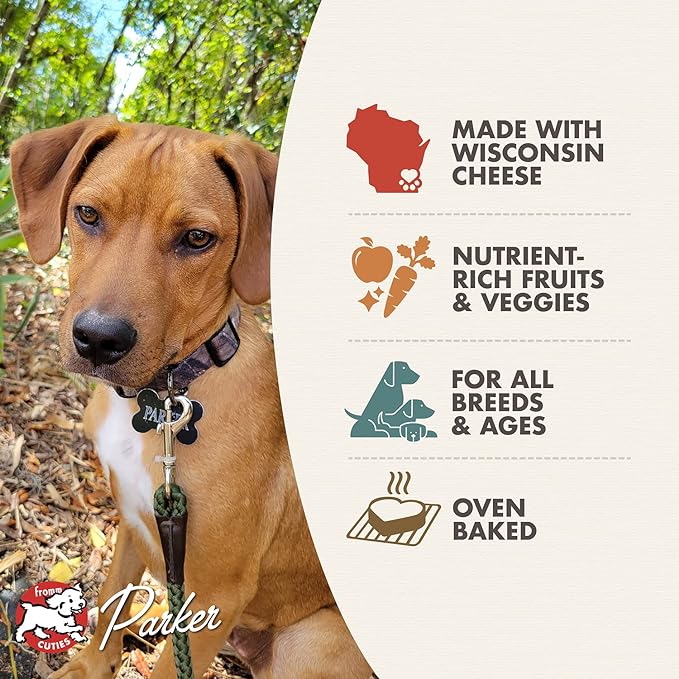 Fromm Family Pet Food Four-Star Parmesan Cheese Recipe Dog Treats - 8 oz.