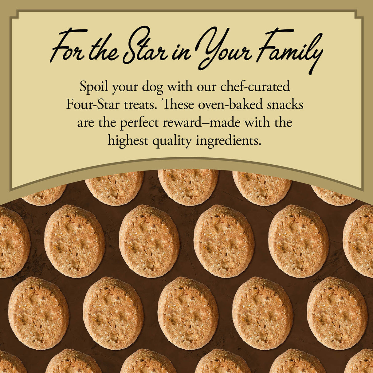 Fromm Family Pet Food Four-Star Parmesan Cheese Recipe Dog Treats - 8 oz.