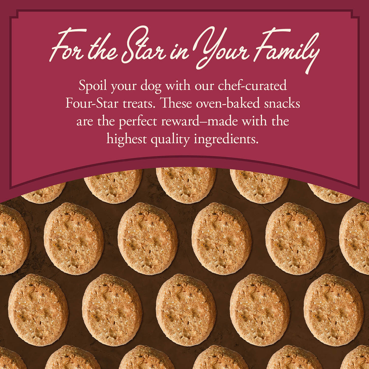 Fromm Family Pet Food Four-Star Salmon with Sweet Potato Recipe Dog Treats - 8 oz.