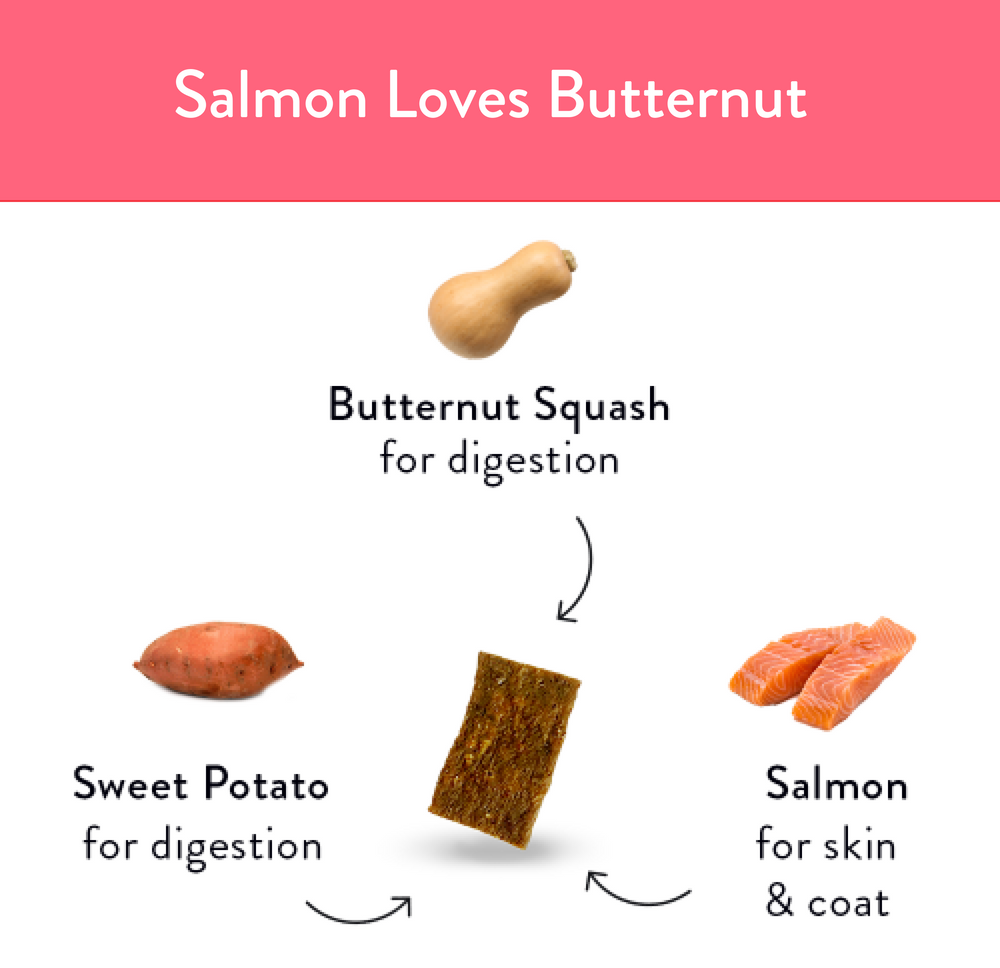 Shameless Pet Salmon Loves Butternut Jerky Bites Dog Treat