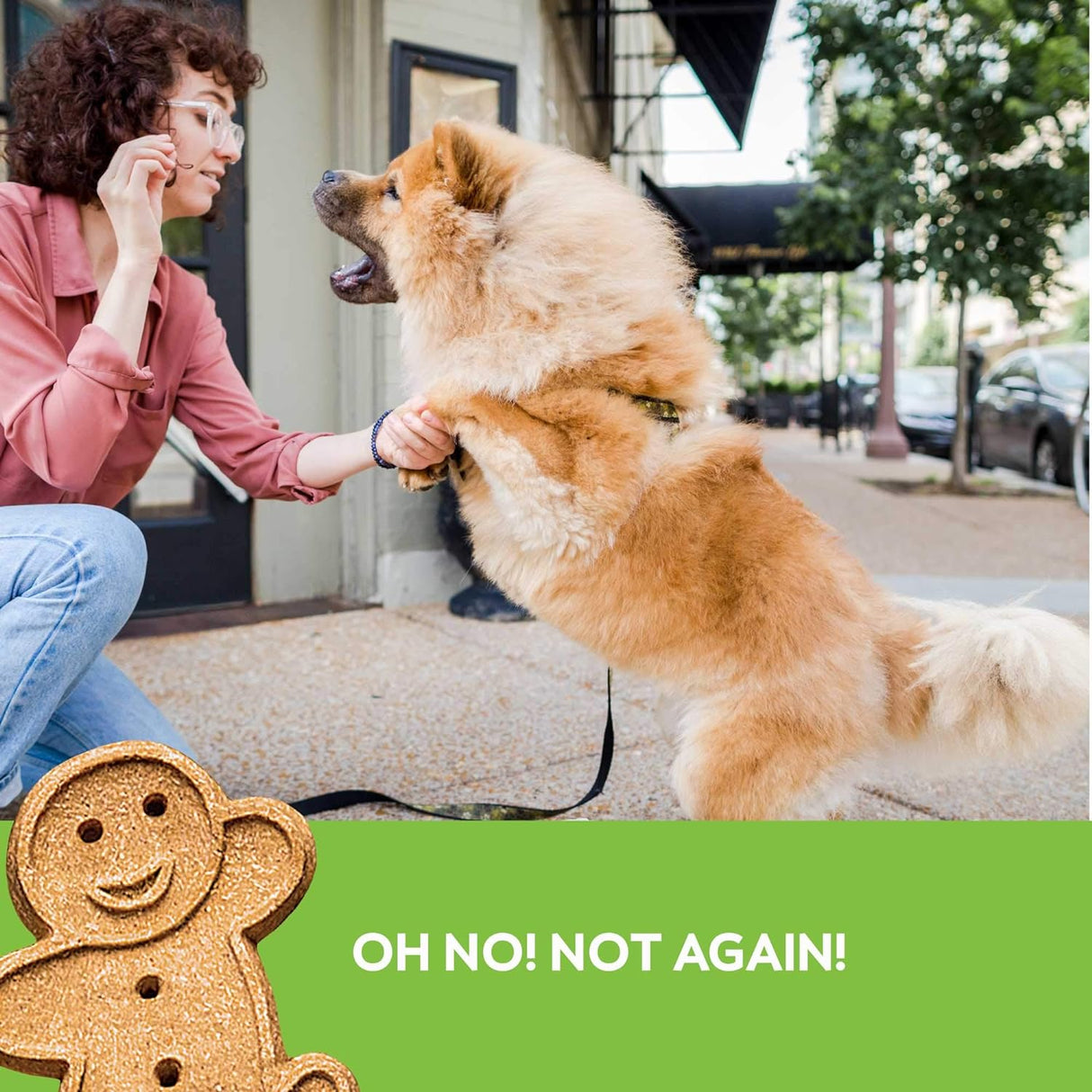 Buddy Biscuit Grain Free Soft & Chewy Treats (Roasted Chicken) - 5oz