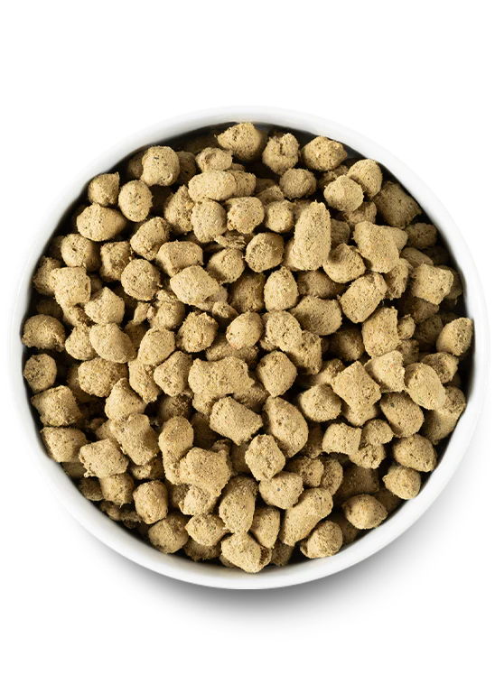 Open Farm Harvest Chicken Freeze Dried Raw Dog Food - 22oz