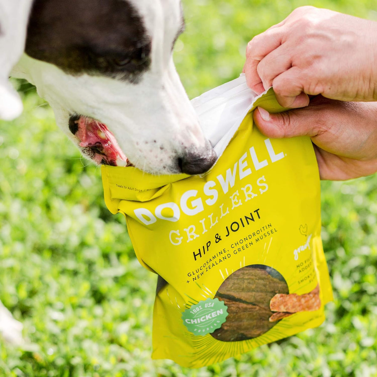 Dogswell Hip & Joint Grillers Dog Treats (Chicken Breast Recipe) - 12oz