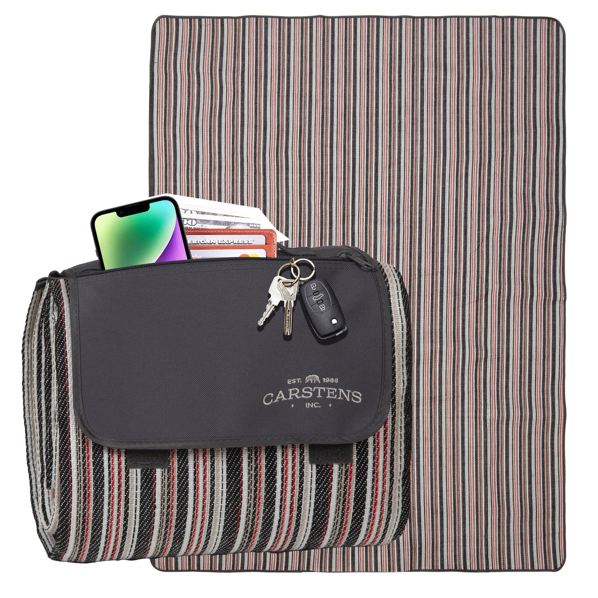 Picnic Blanket River Saddle Stripe