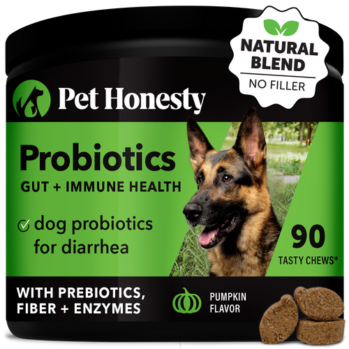 Pet Honesty Probiotics Gut + Immune Health Supplement Chews - Pumpkin Pumpkin