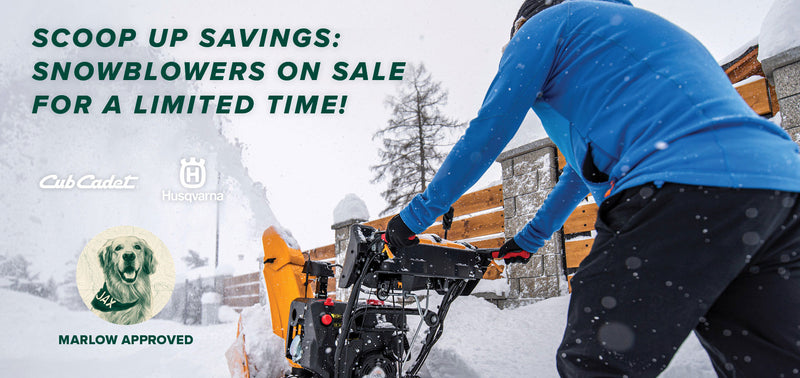 snowblower sale