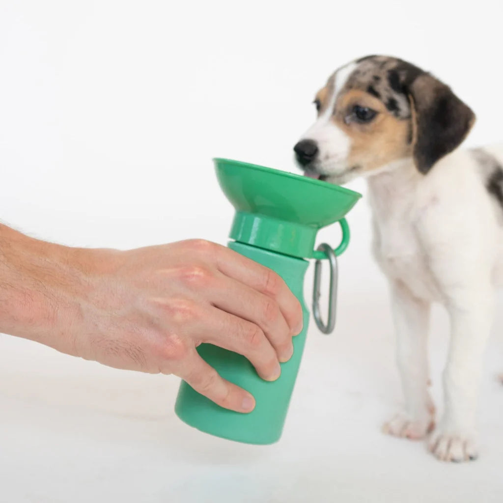 Springer Pets Mini Dog Travel Bottle 15oz - Springer Green