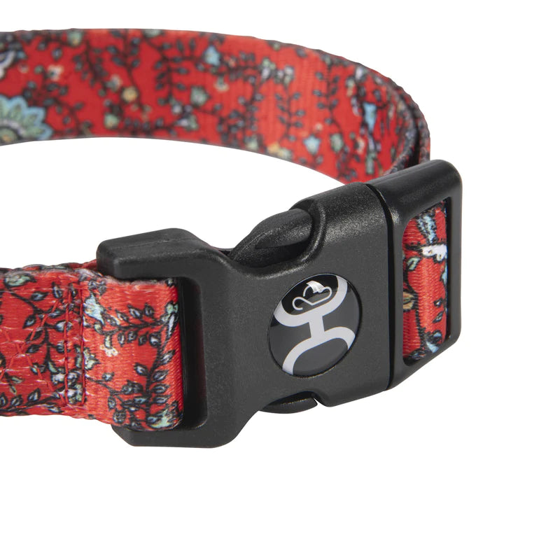 Hooey Nomad Collar