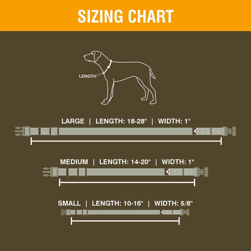 Browning Classic Webbing Camo Collar