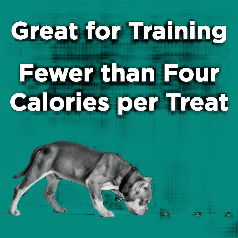 BIXBI Pet Pocket Trainers for Dogs - Salmon Recipe - 6oz