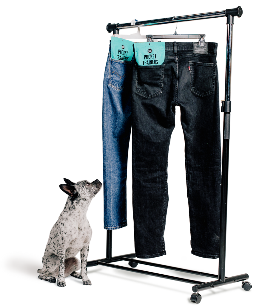 BIXBI Pet Pocket Trainers for Dogs - Salmon Recipe - 6oz