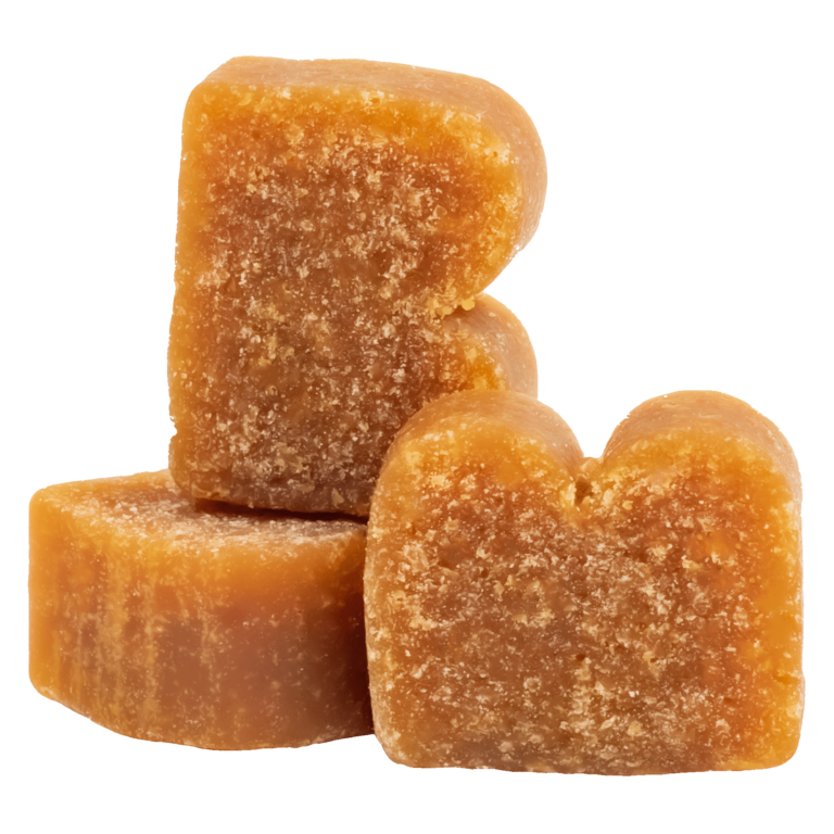 BIXBI Pet Pocket Trainers for Dogs - Salmon Recipe - 6oz