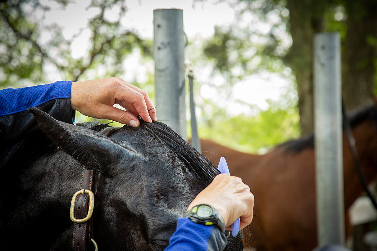 Exhibitor's Quic Sheen: High Gloss Finishing Spray - 4oz. / 16oz. / 1 Gallon