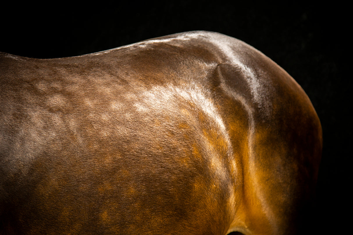 Exhibitor's Quic Sheen: High Gloss Finishing Spray - 4oz. / 16oz. / 1 Gallon