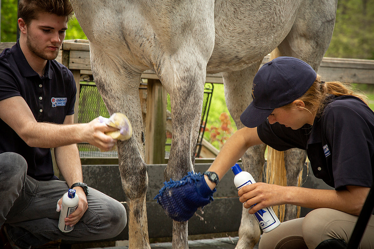 Exhibitor's Quic Silver: Color Enhancing Equine Shampoo - 2oz. / 16oz. / 1 Gallon