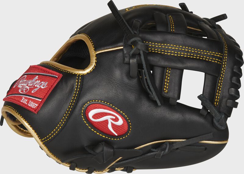 RAWLINGS R9 Series 9.5in Training Mitt RH