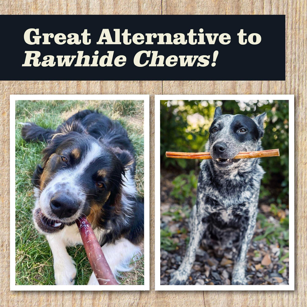 Redbarn Pet Products Bully Stick Dog Chew - 9in