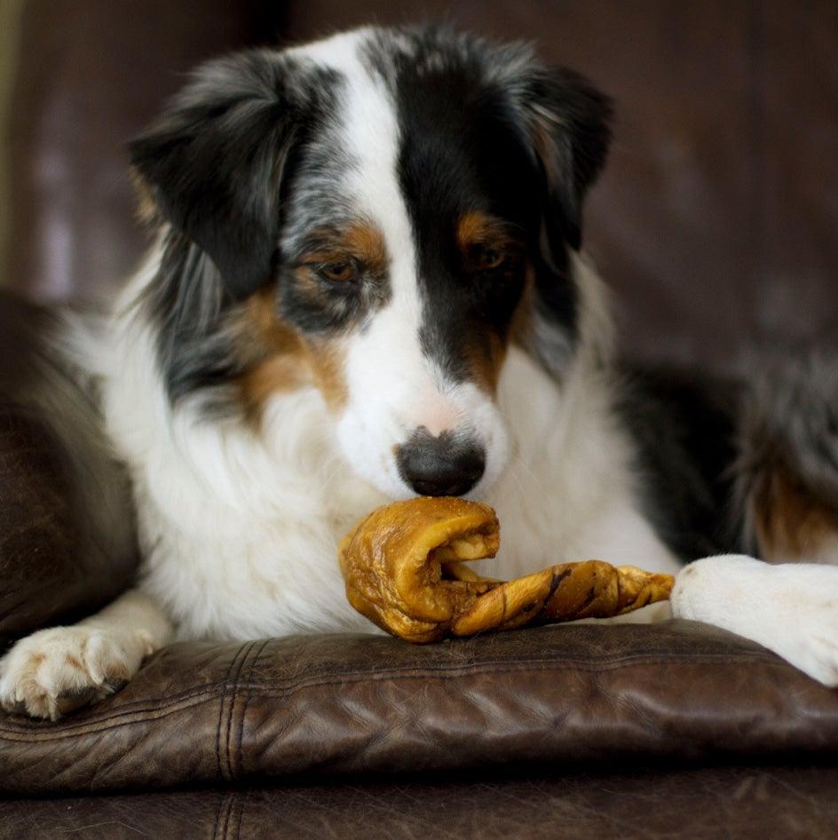 Redbarn Pet Products Pork Skin Twist Dog Chews - 10ct