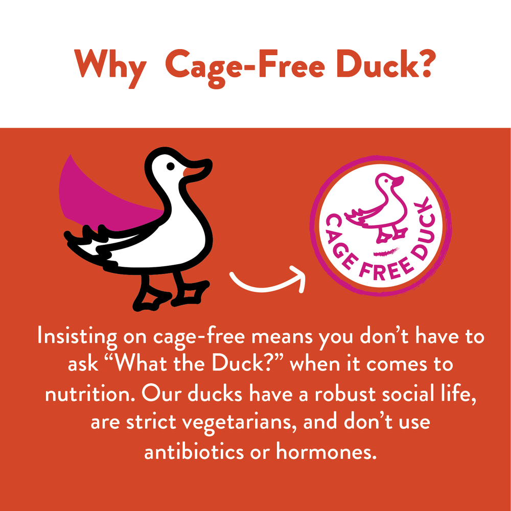 Shameless Pet Duck-Tato Jerky Bites Dog Treat