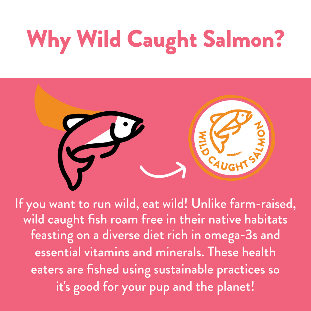 Shameless Pet Salmon Loves Butternut Jerky Bites Dog Treat