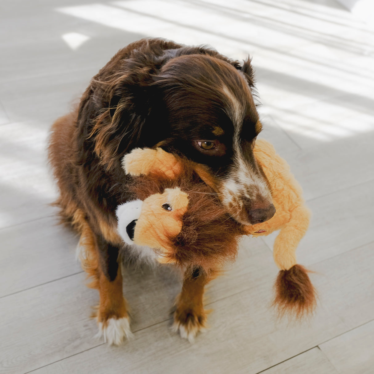 Kong Scampers Dog Toy - Lion - Medium