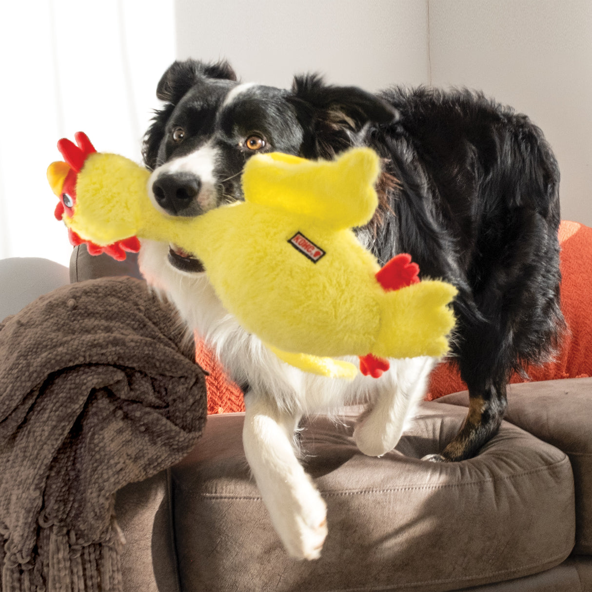 Kong Scruffs Dog Toy - Chicken - Medium / Large