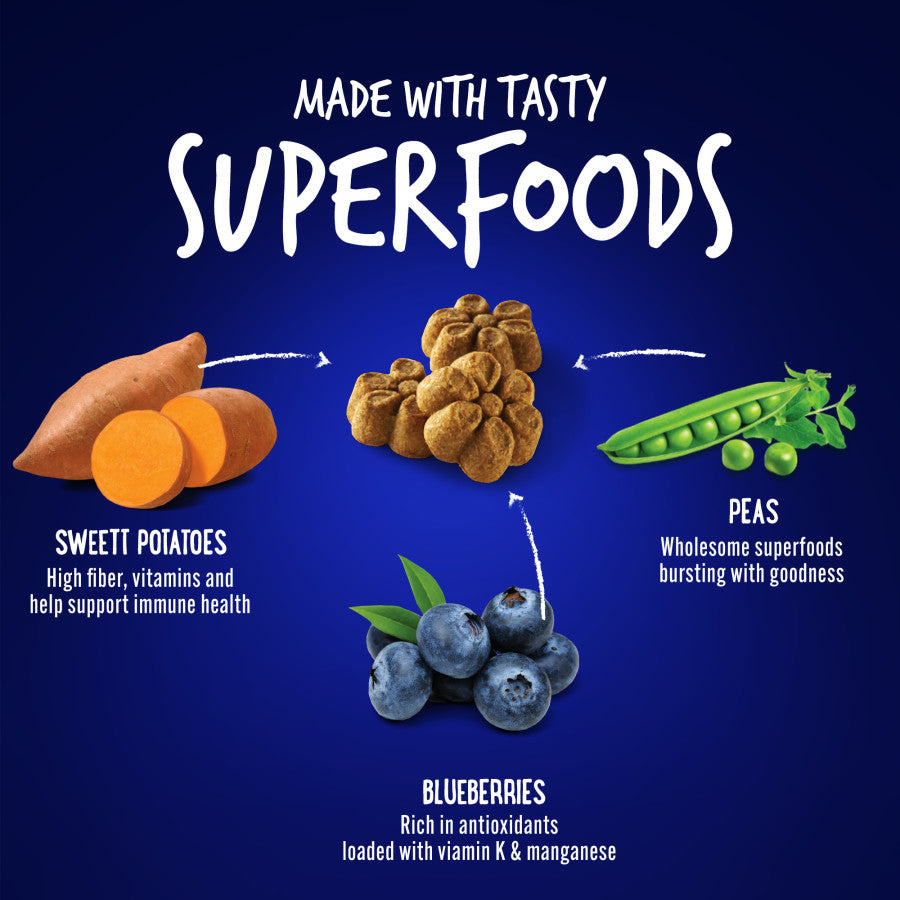 Fruitables Skinny Minis Dog Treats - Pumpkin & Berry - 5oz