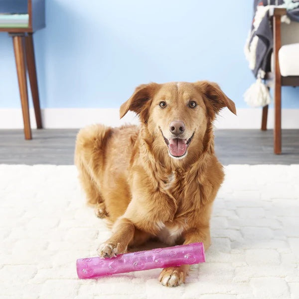 Kong Squeezz Crackle Stick - Medium / Large