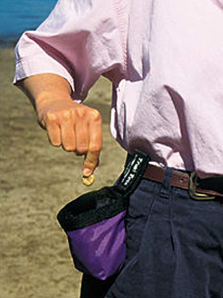 Chuckit! Treat Tote Assorted Colors - Small