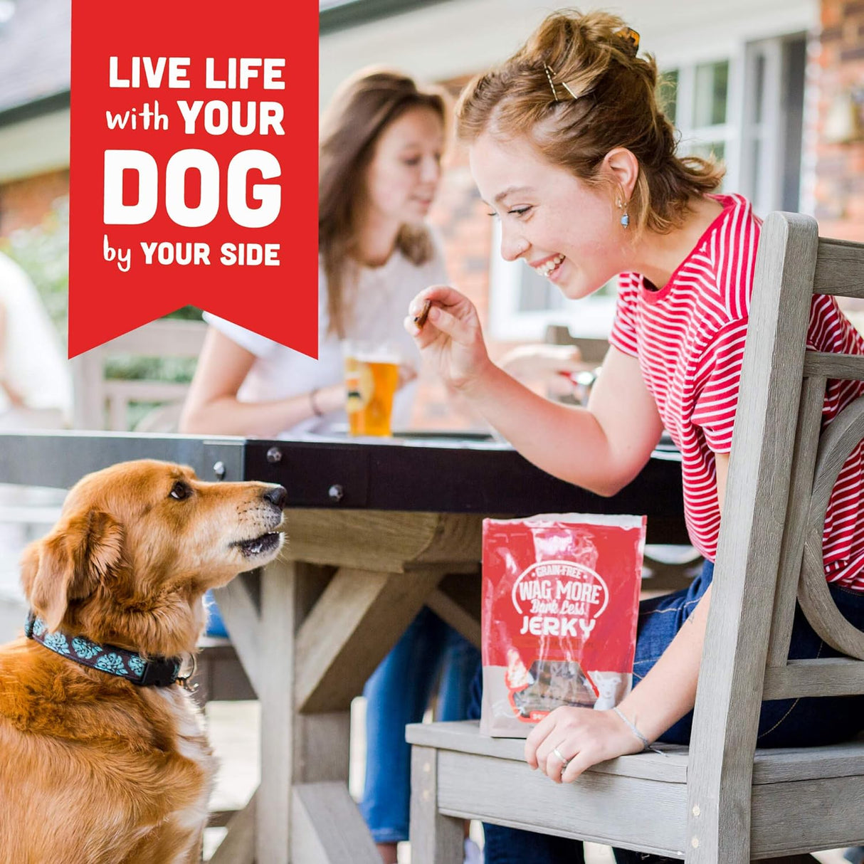 Cloudstar Wag More Bark Less Grain Free Turkey & Cranberry Jerky Dog Treats - 10oz