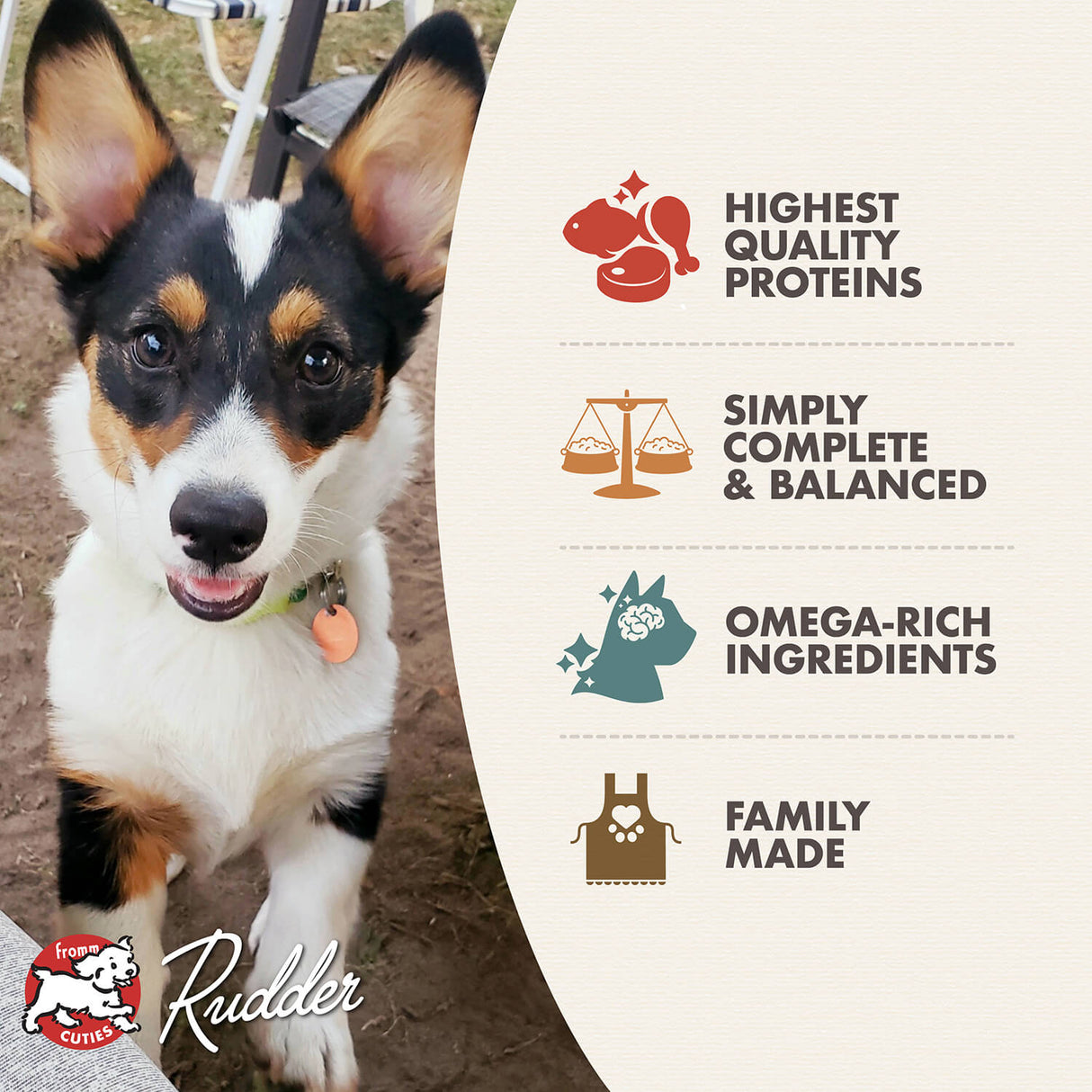 Fromm Family Pet Food Classic Chicken & Salmon Pate Wet Puppy Food - 12.5 oz. Can