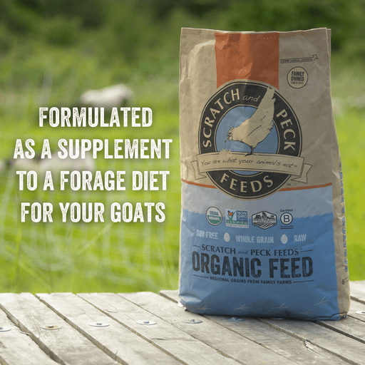 Scratch Peck Organic Goat With Corn