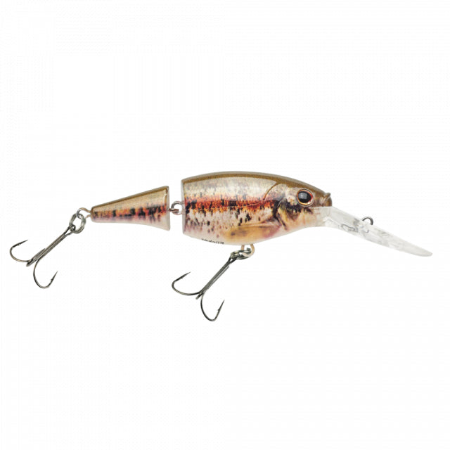 Berkley Flicker Shad Jointed | 1/5 oz | 2in | 5cm | 8 | 5'-7' | 1.5m-2.1m | Model #FFSH5J-HDBND HD Blacknose Dace