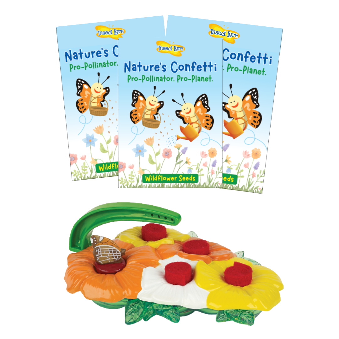 Insect Lore Butterfly Feeder