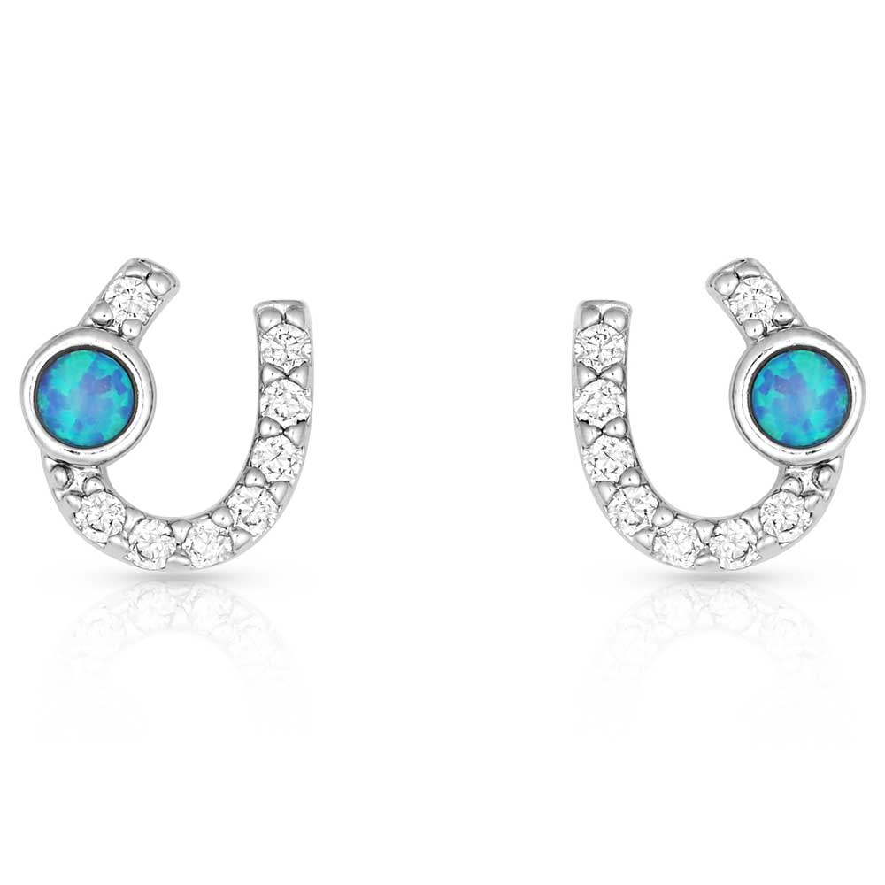 Montana Silversmiths Lightfoot Horseshoe Earrings