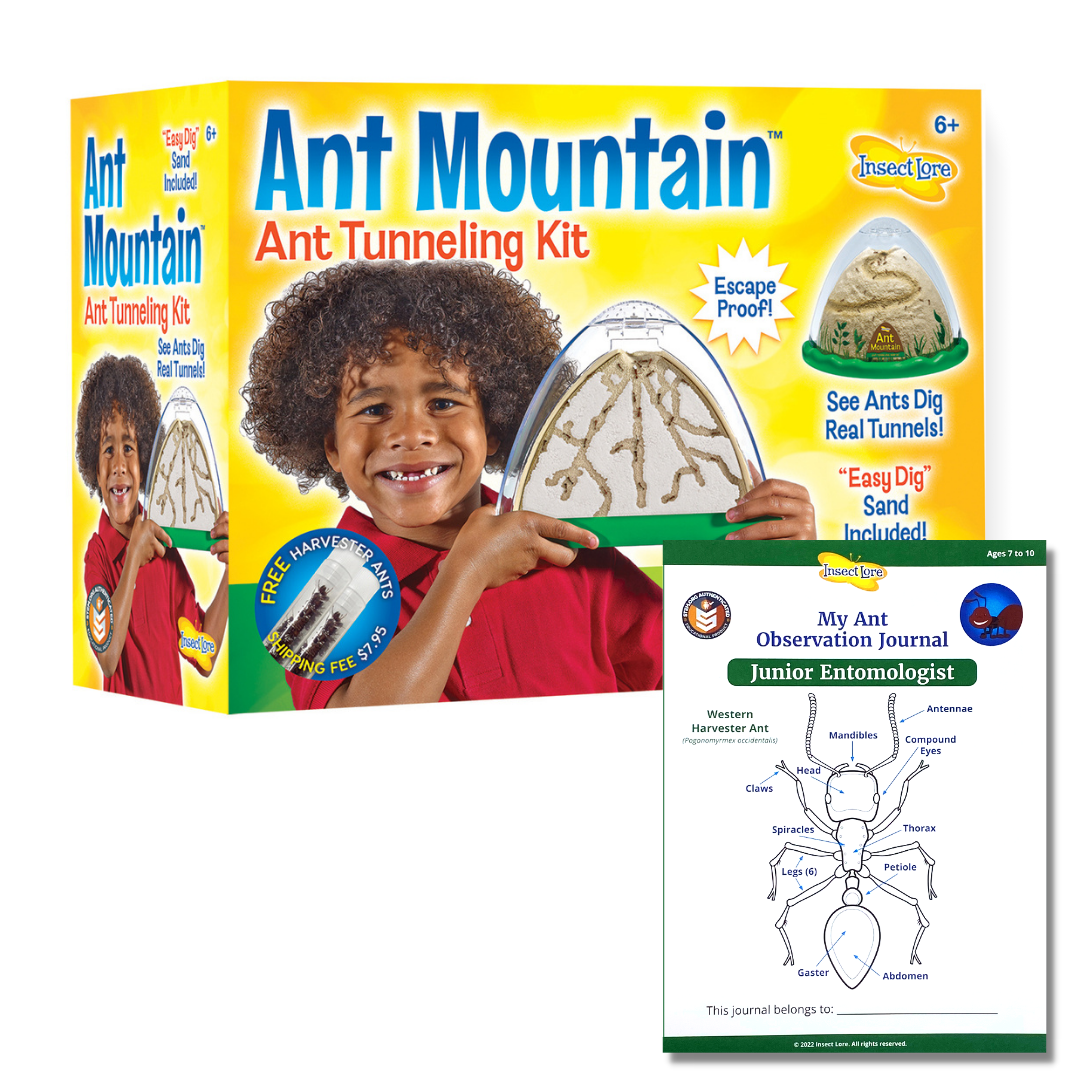 Insect Lore Ant Mountain