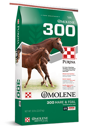 Purina Mills Omolene 300 Growth