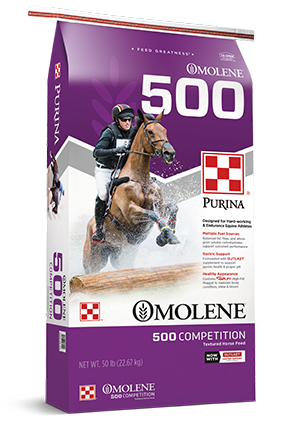 Purina Mills Omolene 500 Competition
