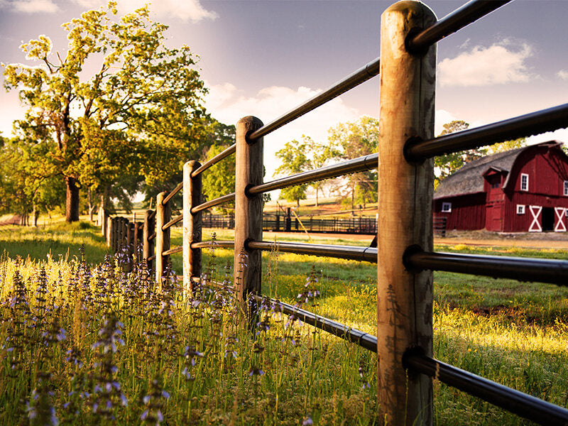 Priefert RANCH RAIL FENCE 1.9 14FT GRAY GRAY / / 1.9