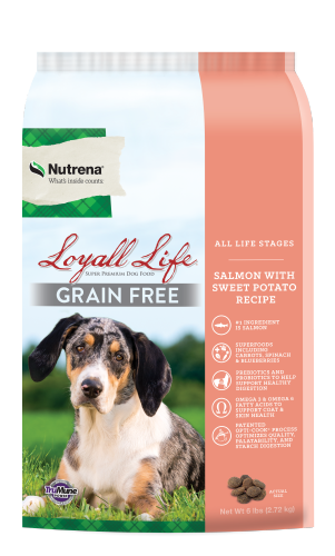 Loyall Life Grain Free All Stages Dry Dog Food SALMON/SW_POTATO