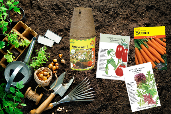 Starting Seeds Indoors in Colorado