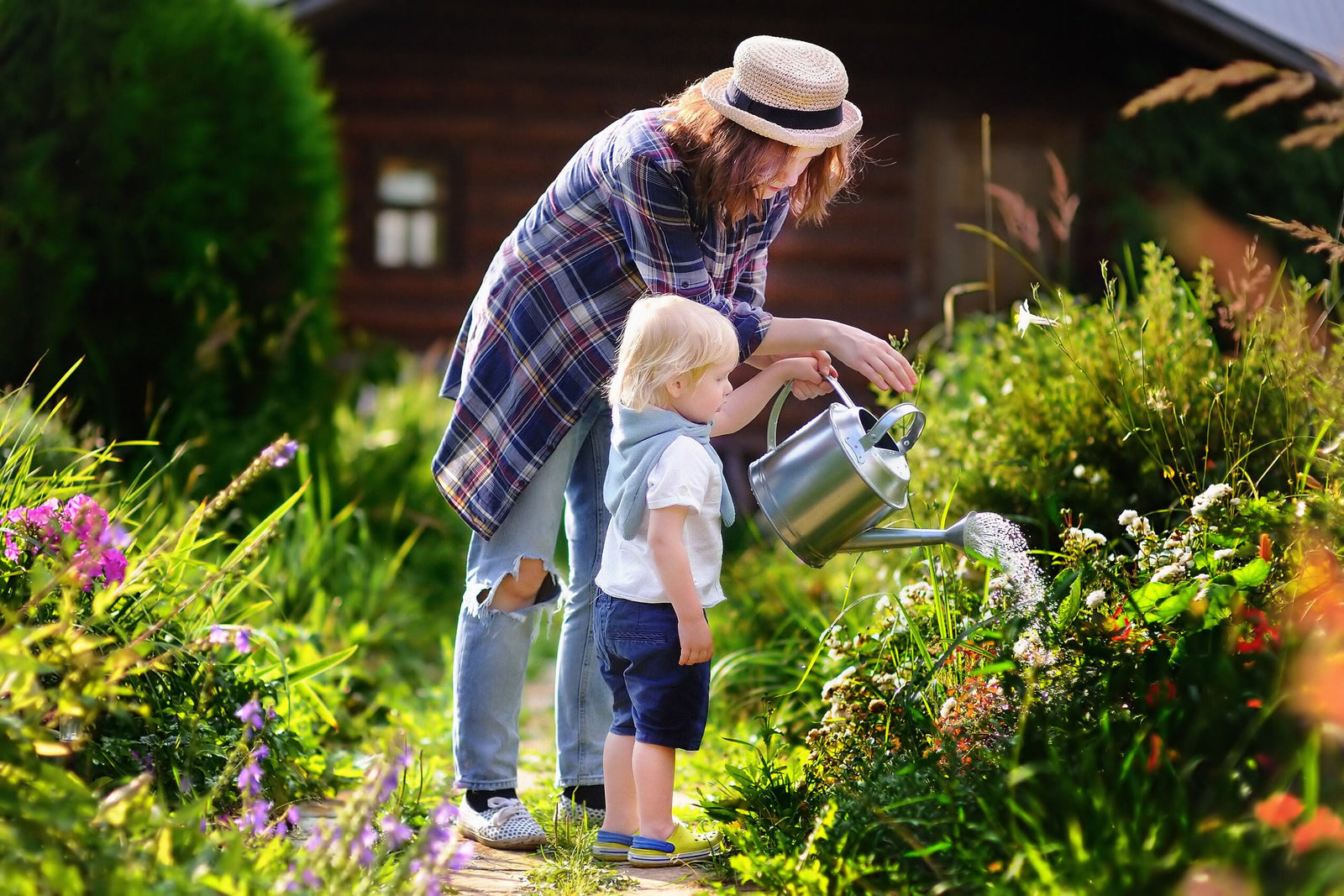 Guide to Watering Plants: The Do's and Dont's of Watering Plants