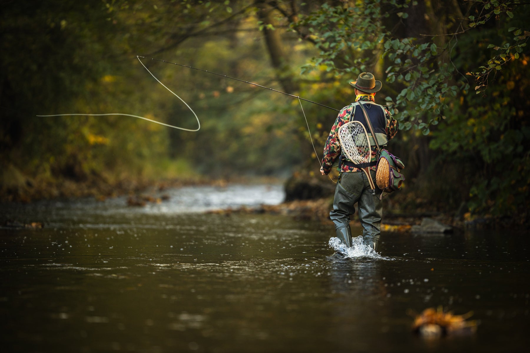 Fly Fishing 101: The Knowledge and Gear to Get Going