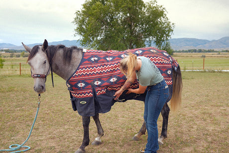 Woman fitting horse blanket