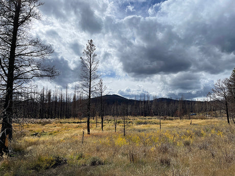 Burned mountain landscape