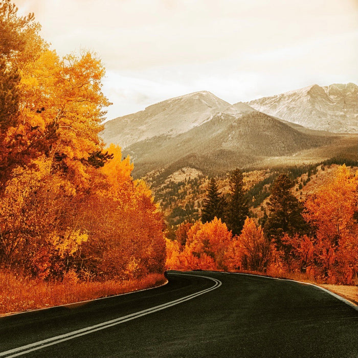 Best Fall Foliage Hikes in Colorado