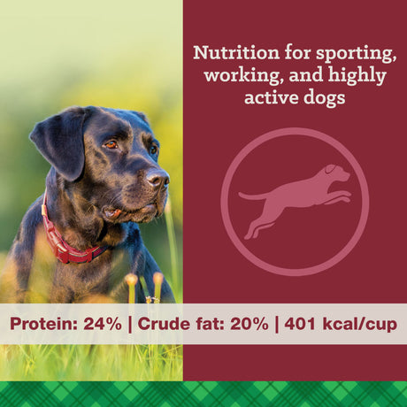 Nutrena Feeds True High Energy 24/20 Dog Food