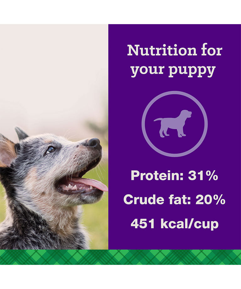 Nutrena Feeds True Puppy Food