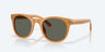 Middles Sunglasses, Sun Ray/gray Polarized